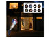 QFX LL14 Indoor/Outdoor LED Light Projector