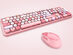 Retro Keyboard & Mouse Combo (Pink)