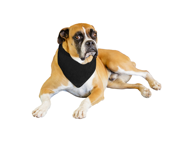 Qraftsy Solid Polyester 12 Pack Dog Neckerchief Triangle Bibs  - Extra Large - Mix Colors