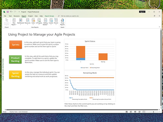 Microsoft Project Standard 2024: Lifetime License for Windows