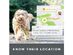 Whistle Go Explore Ultimate Health & Location GPS Tracker for Pets - Grey (New)