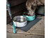 Toadfish Non-Tipping Dog Bowl (Graphite)