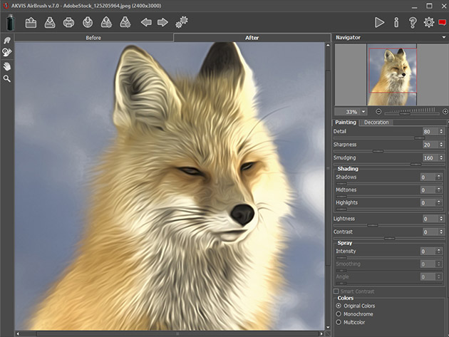 Akvis AirBrush Photo to Painting Software: Lifetime License (Business)