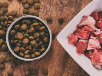 BARF: Feed Your Dog a Raw Diet - Product Image
