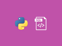 Master the Fundamentals of SQL with Python - Product Image
