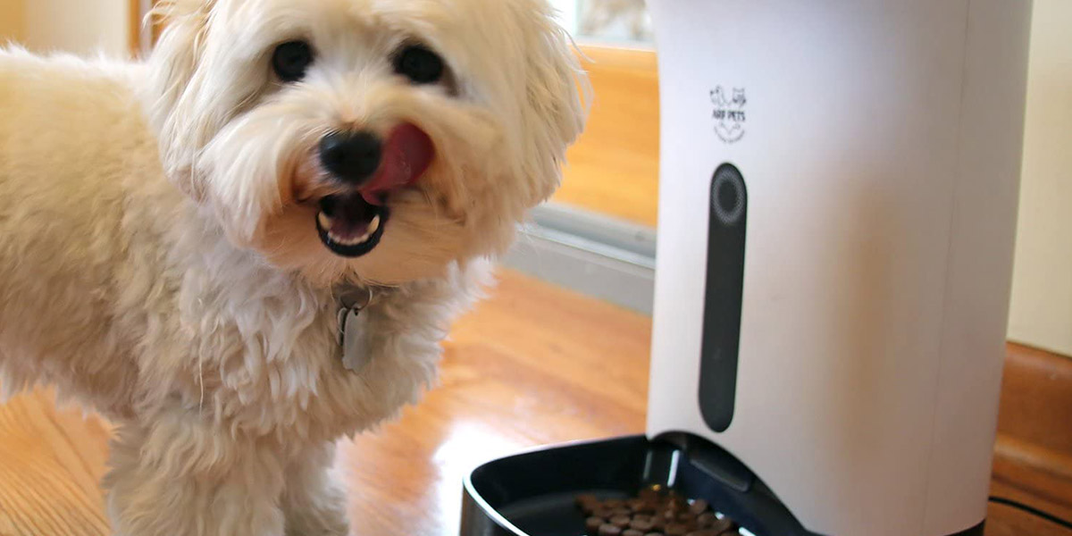 Automatic dog and cat food dispenser