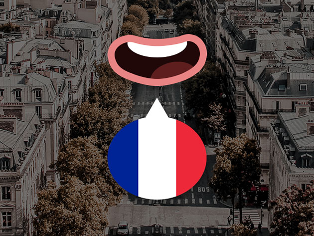 The Fast-Track French Language Learning Bundle