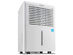 Ivation Energy Star Dehumidifier with Pump