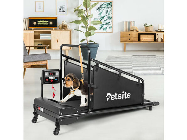 リリパットレーン　pet's practice Petsite Pet Treadmill Indoor Exercise For Dogs Pet Exercise