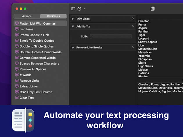 Text Workflow