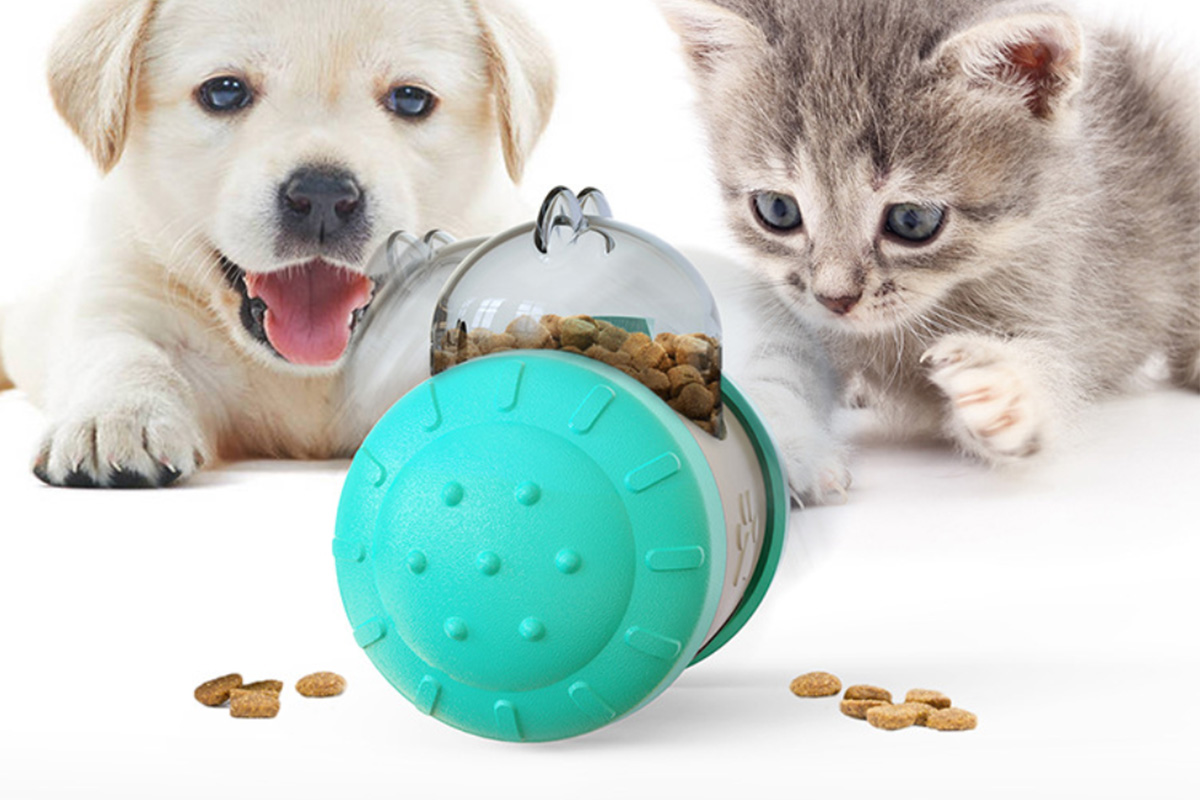 Save big on pet supplies and toys that can help you be a better pet parent