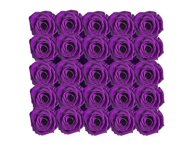 Preserved Roses in Medium Square Classic White Box (Purple Roses)