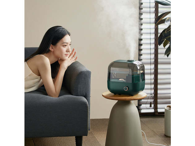 Bear Humidifier JSQ-F50D2 5L
