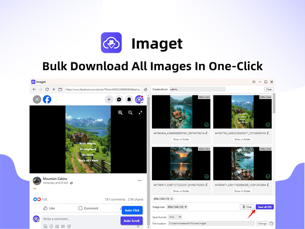 Imaget Bulk Image Downloader for Desktop Only: Lifetime Plan (5 Devices)