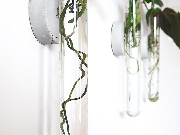Iron & Spout Wall-Mounted Magnetic Propagation Set (Set of 9)