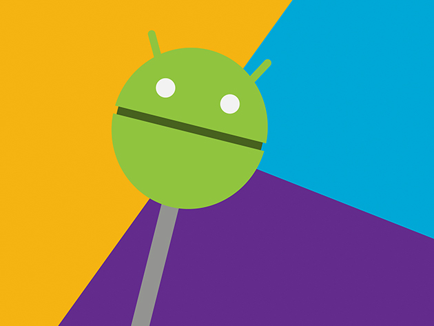 Bitfountain Android Lollipop Course with Android Studio