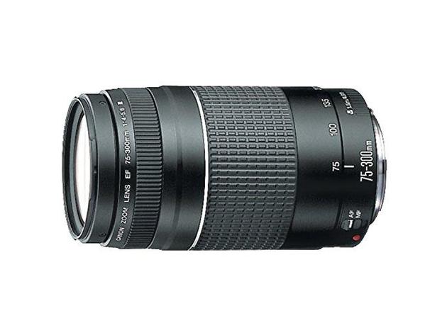 Canon 6473A003 EF 75-300mm f/4-5.6 III Telephoto Zoom Lens for SLR ...