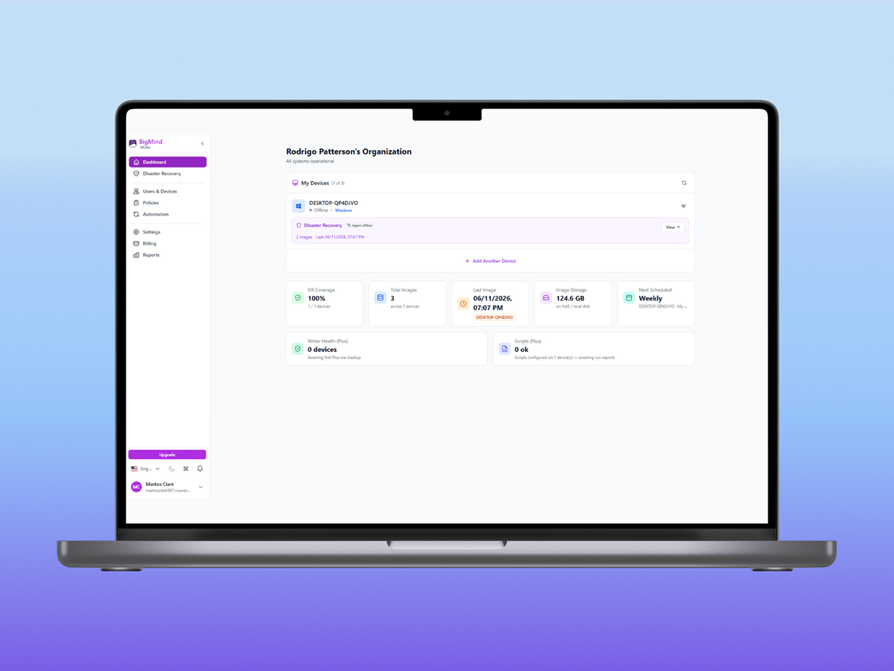 BigMind Data Recovery Pro Plan: Lifetime Subscription