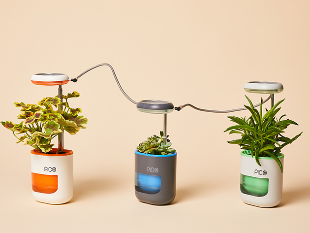 PICO Planter Herb Garden (Blue Stone)