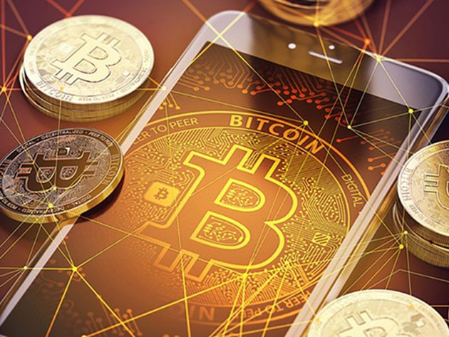 Cryptocurrency Wealth: How to Trade & Invest Like the Pros