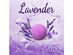 Lavender Bath Bombs Gift Set. 18 Lavender Bath Bombs Bulk with Essential Oils. Relaxing Bath Bombs Individually Wrapped with Organic Ingredients. With Gift Card