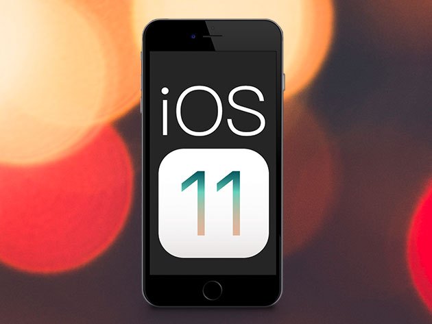 The Complete iOS 11 Developer: Starter Edition