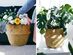Potey Original Brown Handwoven Seagrass Plant Basket