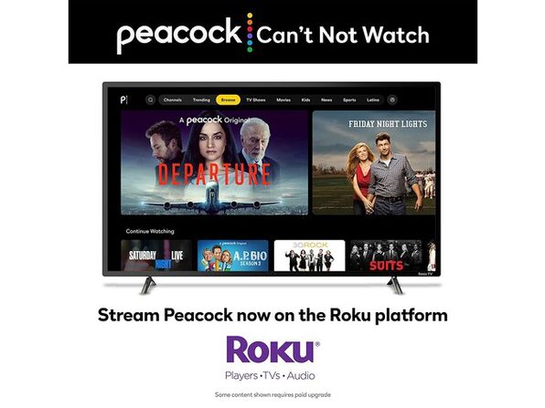 adguard for roku