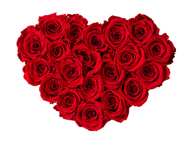 Rose Box™ Velvet Heart Box & Everlasting Roses | StackSocial