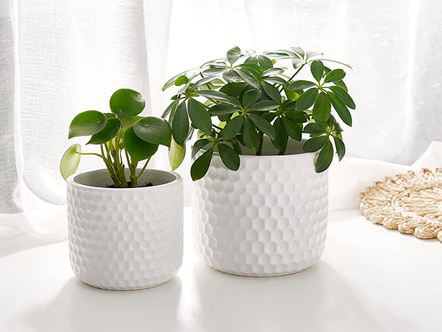 Potey 6" & 5" Ceramic Planter Set