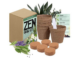 Zen Garden Spiritual Healing House Plants Grow Kit