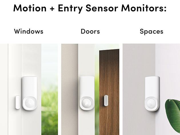 Kangaroo Motion + Entry Sensors: 4-Pack + Complete Plan 1-Yr Subscription