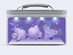 USB Rechargeable UV Disinfection Bag