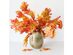 Homvare Transparent Preserved Fall Oak Leaves 5 Pieces Oz Artificial Ornament for Fall, Thanksgiving, Halloween, Party and Wedding Decorations