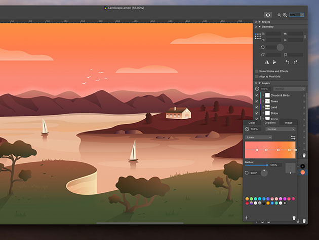 Amadine: The Ultimate Vector Graphics Software for Mac (Family License)
