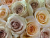 Get a Dozen Cream Roses for Your Valentine for Only $39.99 Shipped! (Digital Voucher)