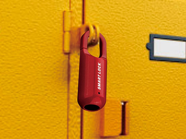 Mini Smart Fingerprint Padlock (2-Pack)