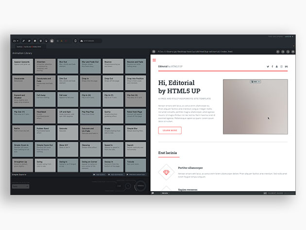 Lucid 4 Animation Software: Lifetime Subscription