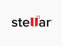 Stellar Data Recovery Professional Plan: 10-Year License