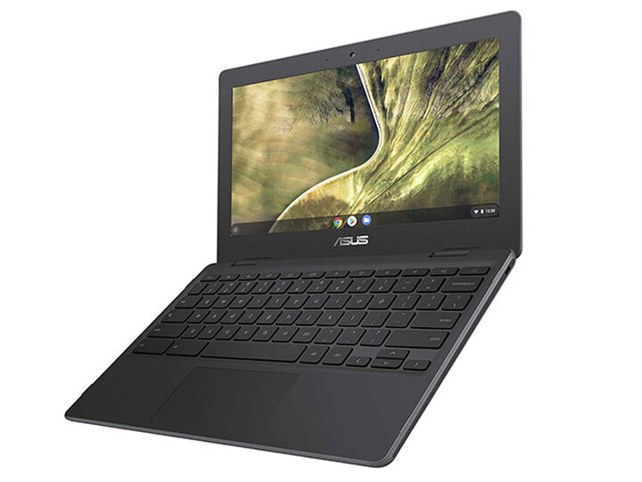 Asus Chromebook C204EE YS01 11.6