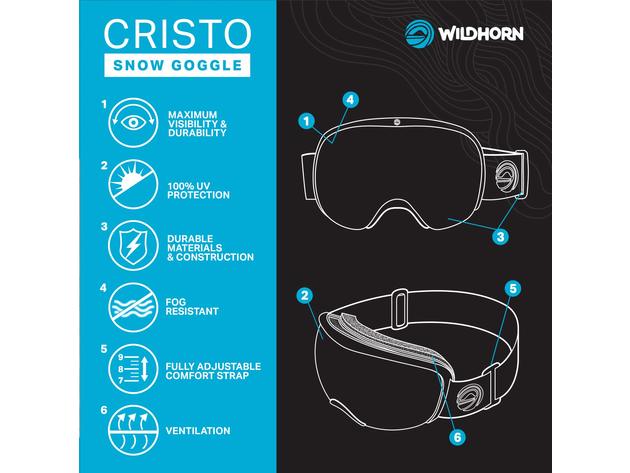 Wildhorn Cristo Ski Goggles - Ski Team Official Supplier Snow, Stealth-IceBlue (new)