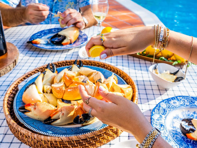 Fresh Florida Stone Crab Claws Delivered To Your Door! 