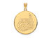 NCAA 14k Yellow Gold North Carolina at Charlotte XL Disc Pendant