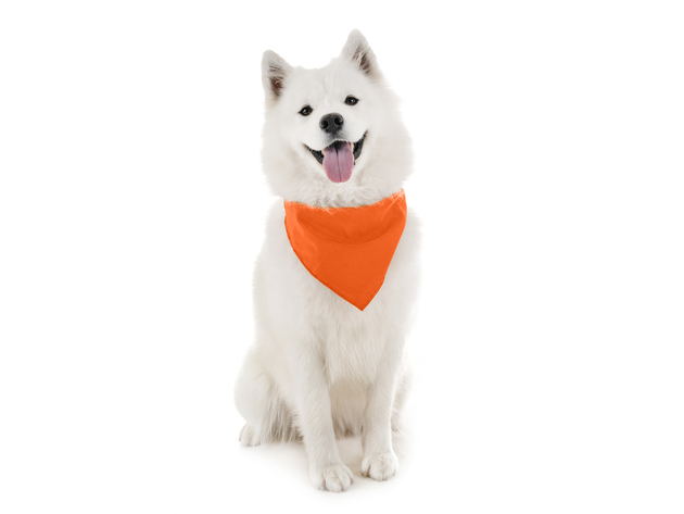 Balec Dog Solid Bandanas - 4 Pieces - Scarf Triangle Bibs for Any Small, Medium or Large Pets - Red