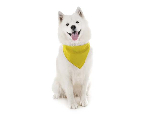 Balec Dog Solid Bandanas - 4 Pieces - Scarf Triangle Bibs for Any Small, Medium or Large Pets - Yellow
