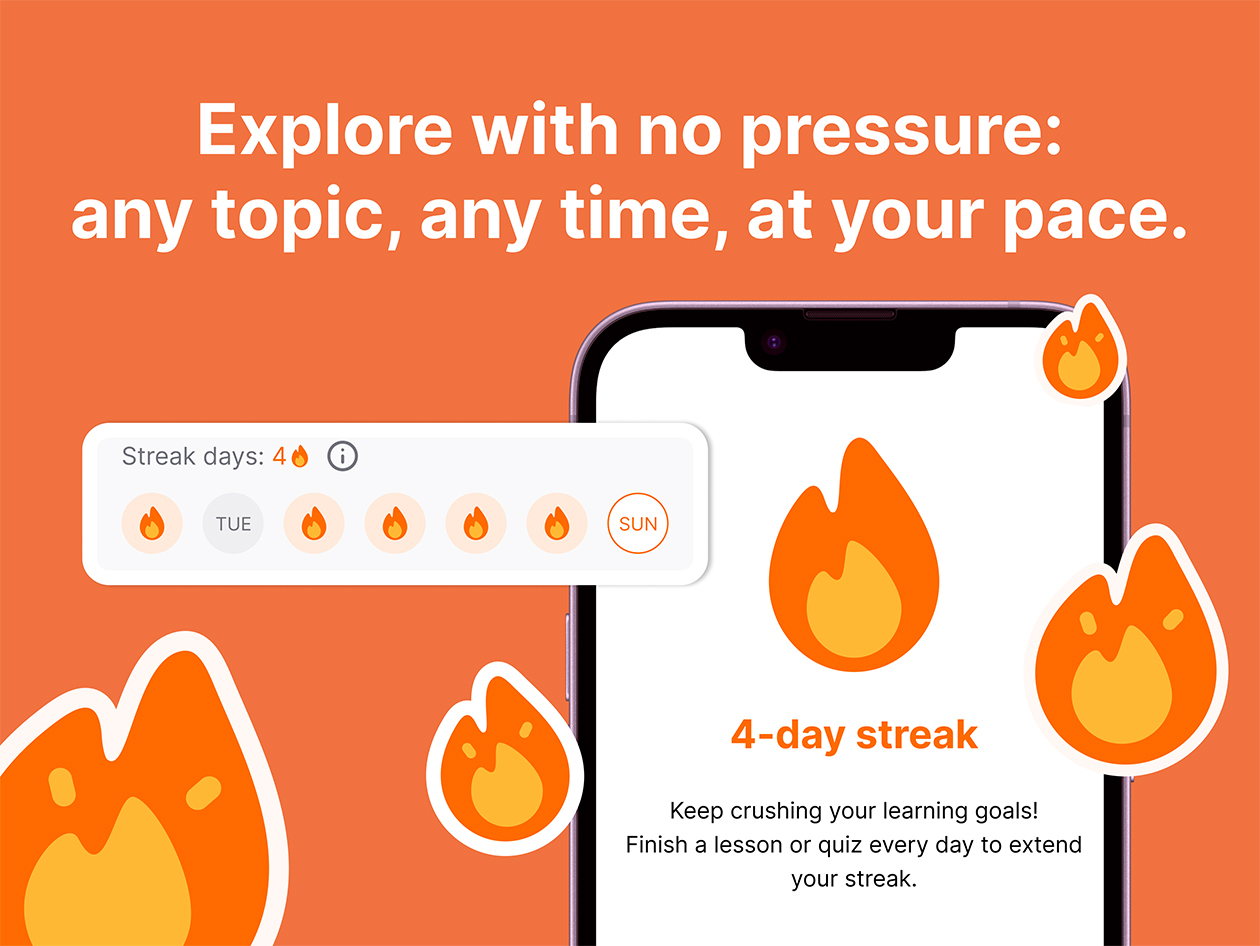 Nibble All-Around Knowledge App