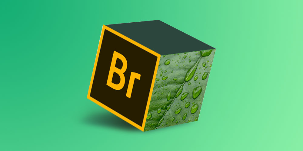 Mastering Adobe Bridge CC