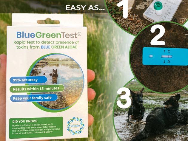 5Strands BlueGreen Algae Test