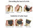 Pet Grooming Hair Clipper Set