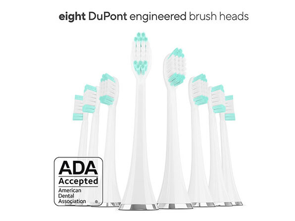 dupont brush heads for aquasonic